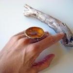 Round brown ring, fashion j..